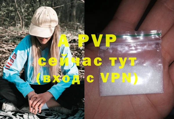 спиды Тутаев