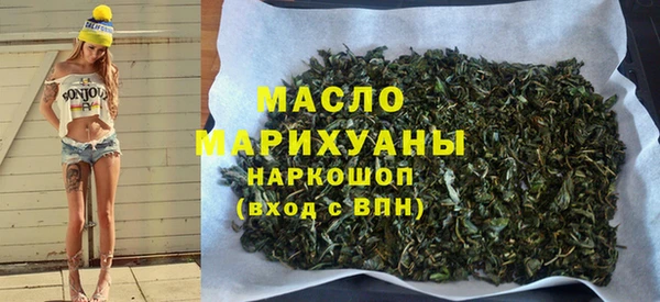 тгк Туринск