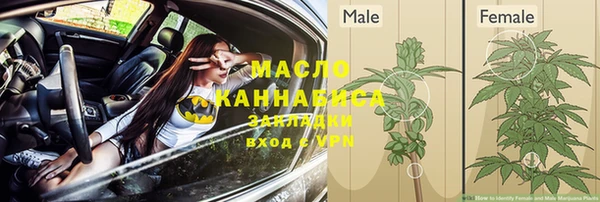 тгк Туринск
