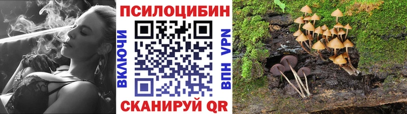 Галлюциногенные грибы Psilocybine cubensis  это наркотические препараты  Великий Устюг 