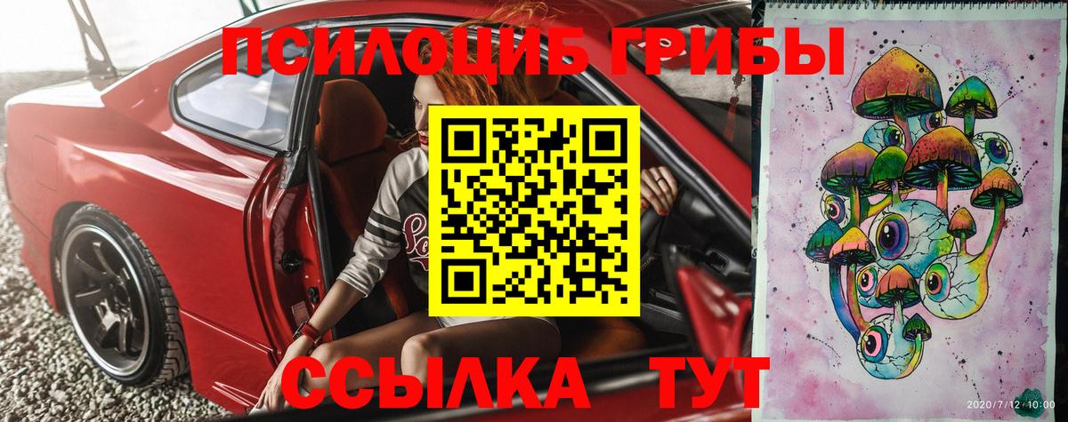 Галлюциногенные грибы Cubensis Великий Устюг