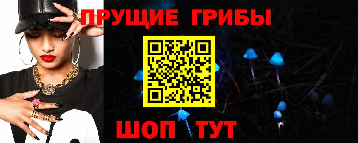 Галлюциногенные грибы Psilocybe  Галлюциногенные грибы Psilocybe  как найти   Великий Устюг  Вход с VPN 